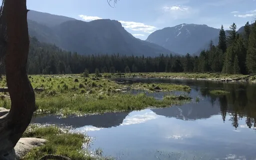 Pause, Release & Refresh: An Overstimulation Reset