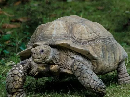 Pause & Reset: A 5-Minute Breath Break Into Calm