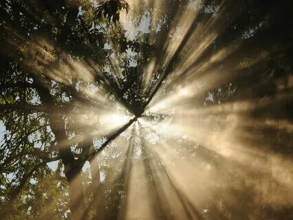 Pause & Reset Breathwork 1: Energy Clearing