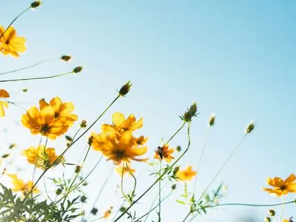 Pause & Reset: Quick Anxiety Release - 3-Minute Practice