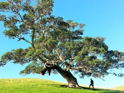 Pause, Stop & Reset - Learning More About COVID-19 & What It Means For You