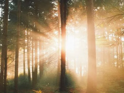 Pause The Spiral: A 3-Minute Grounding Practice