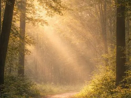 3-Minute Reset: After Pushing Too Hard