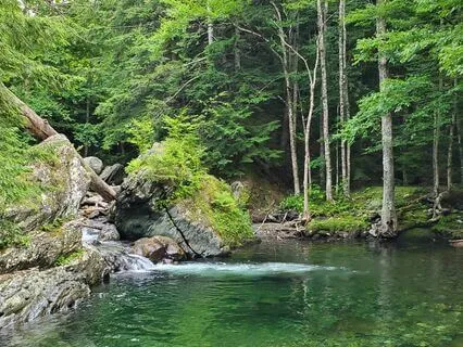 Pause With Awareness