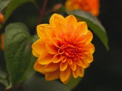 Pausing Meditation For Creating Spaciousness