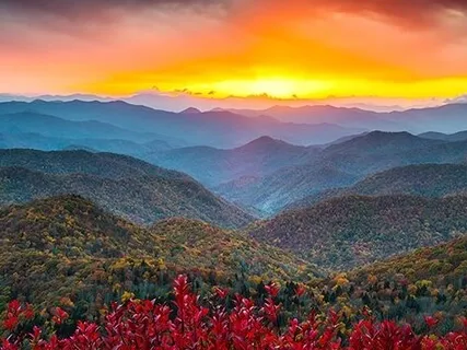 Pausing, Taking Refuge In Self Compassion