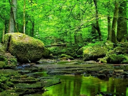 Paz (Poema de Alfonsina Storni)