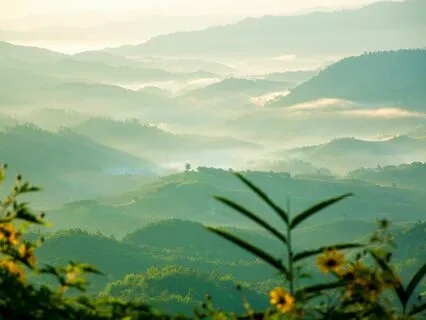 Peace Among The Noise | Present Moment Meditation