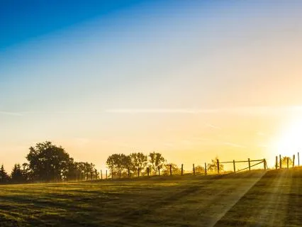 Peace And Clarity For A New Day | Morning Meditation