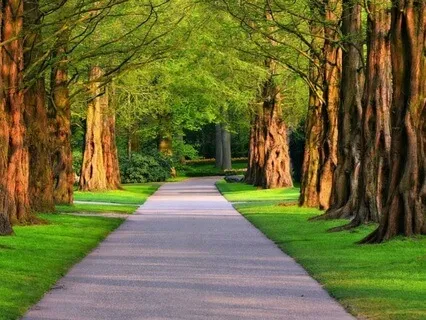 Peace And Tranquility Stress Relief Meditation