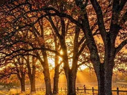 Peace at Sunset