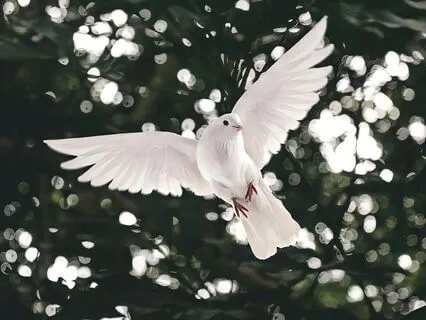 Sleep Meditation, Release Peace & Move Into Sleep