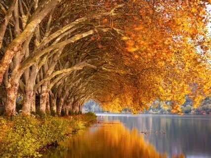 Peace Begins With Me