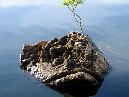 Peace Begins with Me