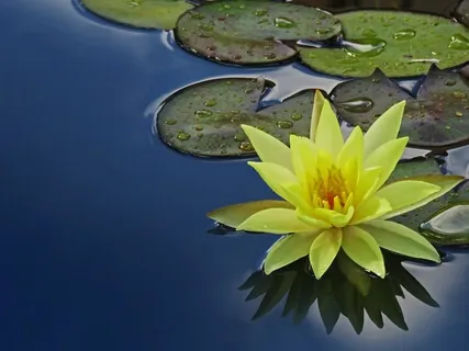 Peace Calm And Stillness