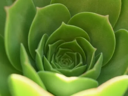 Peace & Calm In Heart