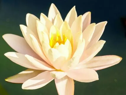 Peace - Calming & Uplifting Chimes Sound Healing