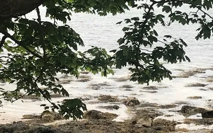 Peace, Contentment And Love Meditation