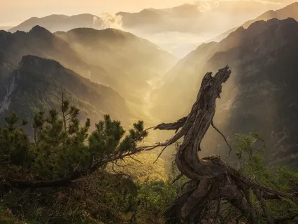 Peace Day Meditation