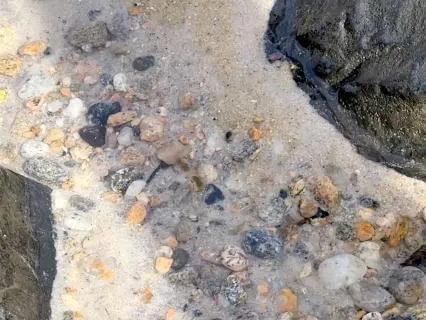 Peace Flows: Stillness By The Sea