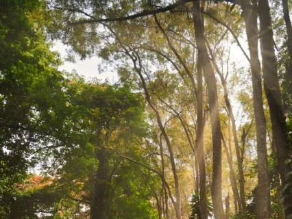 Peace For Your Active Mind