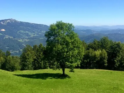 Peace, Happiness And Love Are The Context Of Our Experience