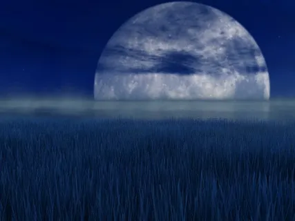 Peace, Harmony & Soothing Sounds