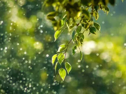 Peace I Leave With You: Ambient Music For Stress Relief