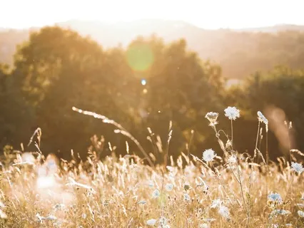 Peace In Christ - Christian/LDS Meditation