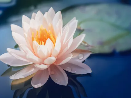 Peace In Every Moment - Tom Moore & Tim Sadow