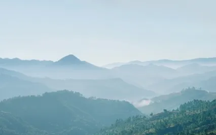 Peace In The Present