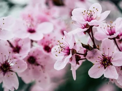 Peace in This Moment 9 Minute Crystal Bowls Sound Bath