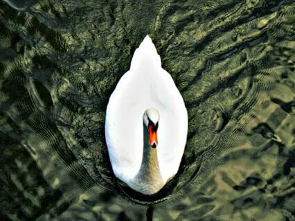 Peace In Uncertainty - Take A Five Series