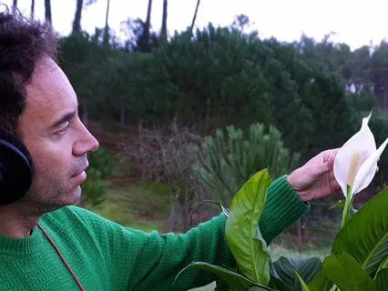 Peace Lily Vibrations | 432Hz | Plant Music