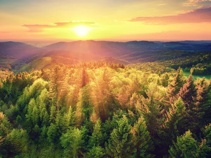 Peace, Love And Fearlessness During The Coronavirus Pandemic