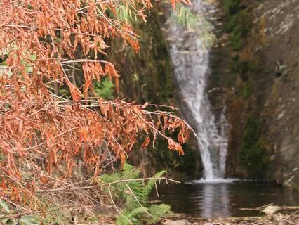 Peace Mantra (1 Minute)