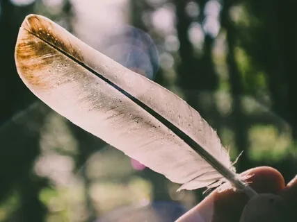 Invite Peace Into Your Life 