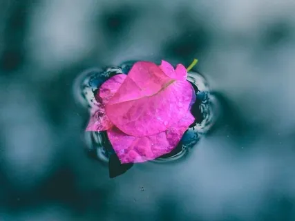 Peace, Music, and Poems