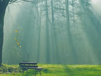 Peace Notes - For Stress And Anxiety Relief