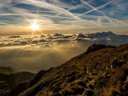 Peace Of Mind (Paz de Espírito)