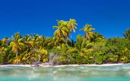 Peace Of Mind Relaxing Anxiety