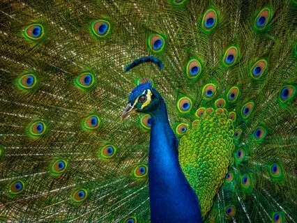 Peace of Mind through Soul Awareness