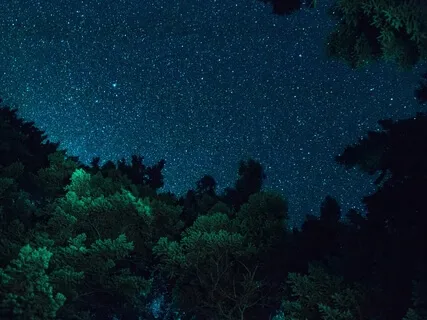 Peace On Earth - Meditation Music - Calm Relaxing Ambient Nature Sounds