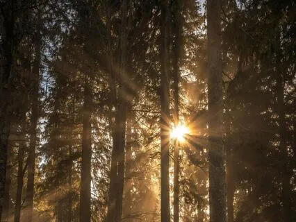 Peace Practice Invocation Prayer And Mantra