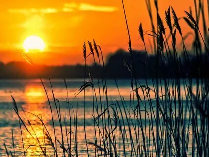 Peace| Solfeggio 432 Hz Wake-Up Music