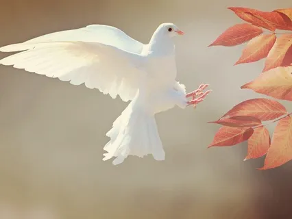 Peace: Sound Healing With 639Hz Crystal Bowl & Vocals