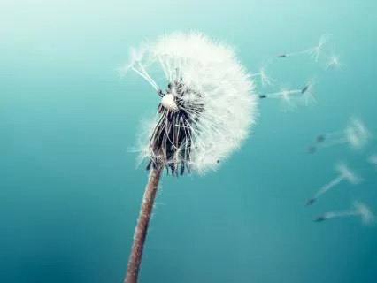Peace & Stillness Between Breaths