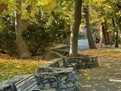 Peace, The Angels, And You