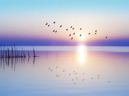 Peace Through Closure & Completion Of Relationships