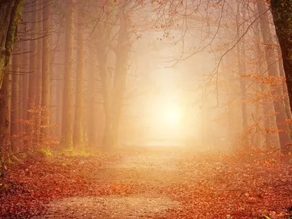 Peace Through Meditation For Stress